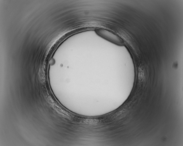 X0000115721068200912031545