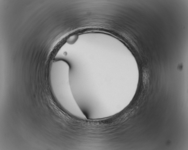 X0000115721069200912031545