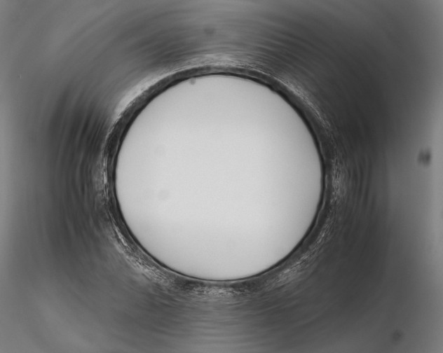 X0000115721070200912031545