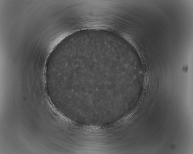 X0000115721071200912031545