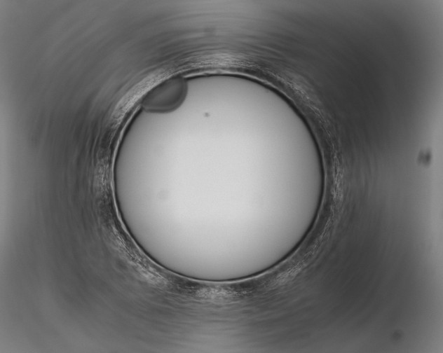 X0000115721073200912031545