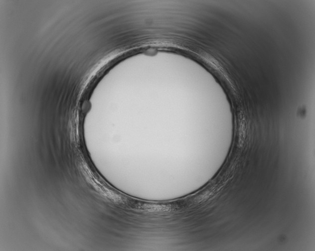 X0000115721076200912031545