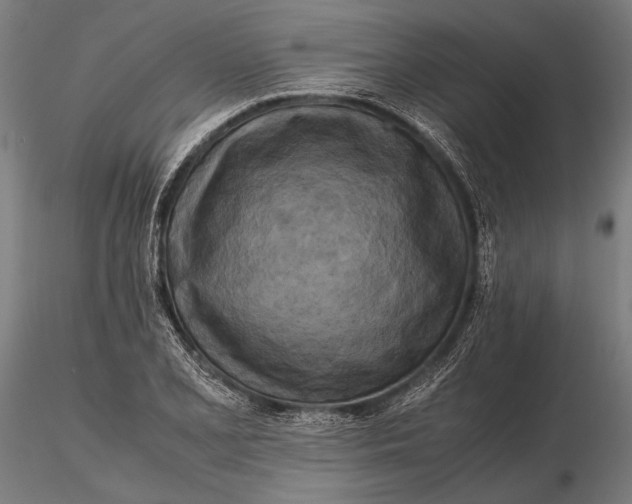 X0000115721077200912031545