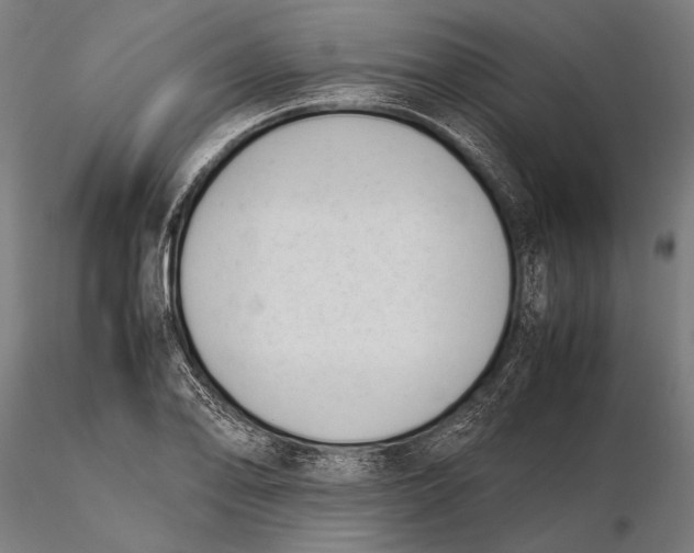 X0000115721078200912031545