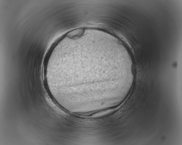 X0000115721080200912031545