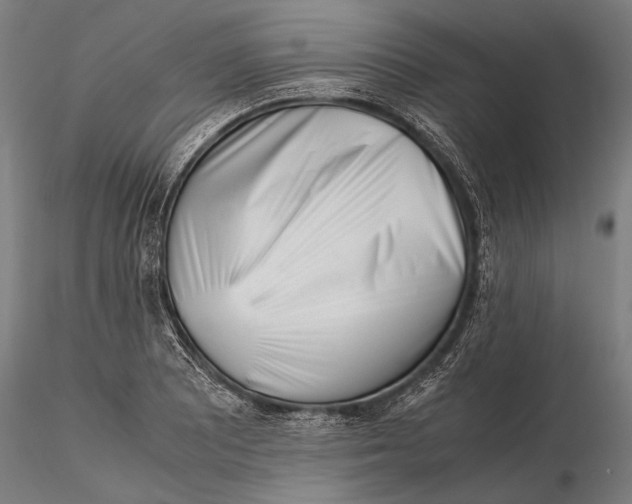 X0000115721081200912031545