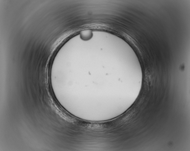 X0000115721082200912031545