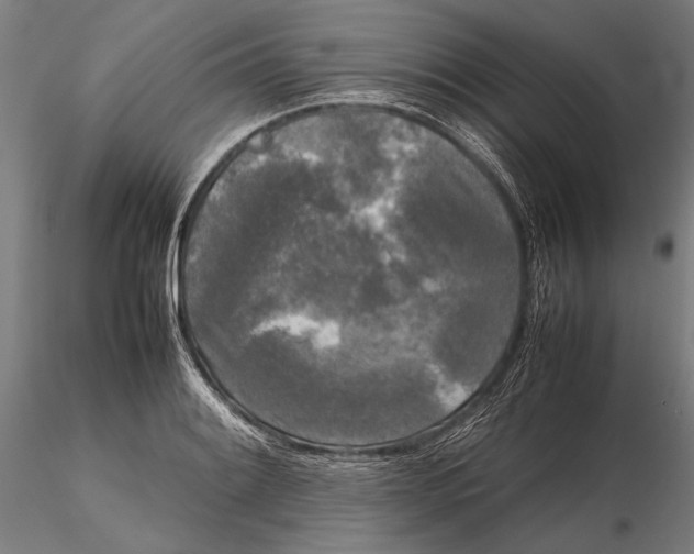 X0000115721084200912031545