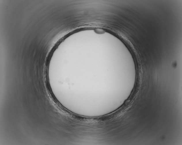 X0000115721085200912031545