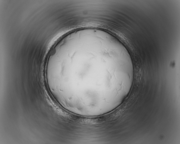 X0000115721086200912031545