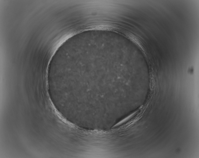 X0000115721087200912031545