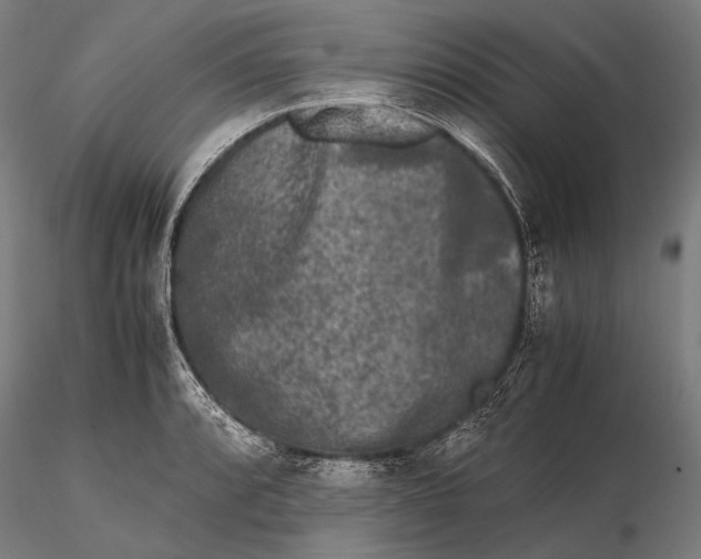 X0000115721088200912031545