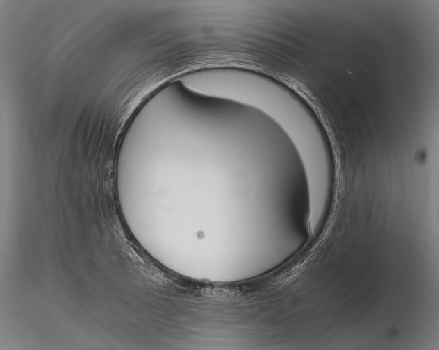 X0000115721089200912031545