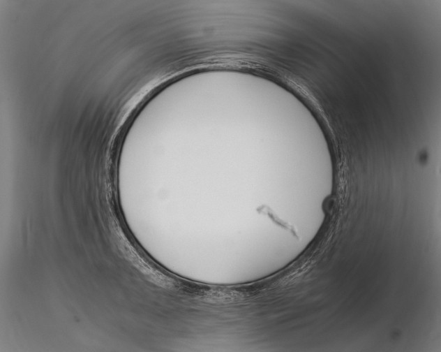 X0000115721091200912031545