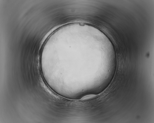 X0000115721092200912031545