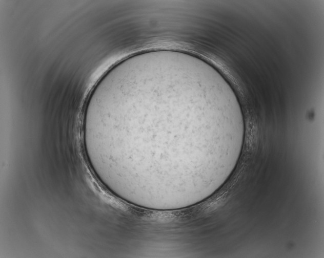 X0000115721094200912031545
