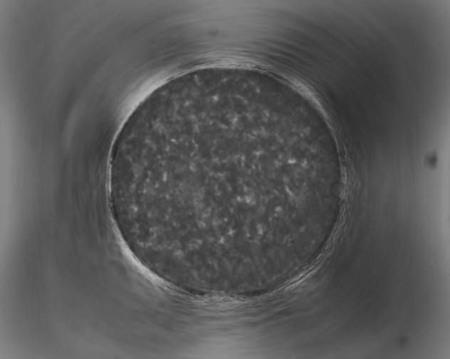 X0000115721095200912031545