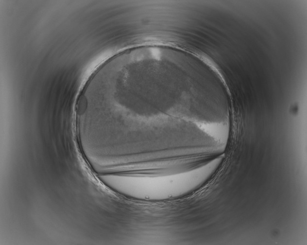 X0000115721096200912031545