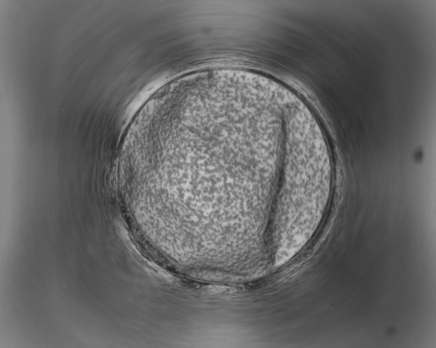 X0000115721097200912031545