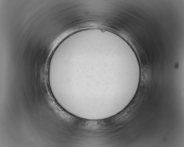 X0000115721098200912031545