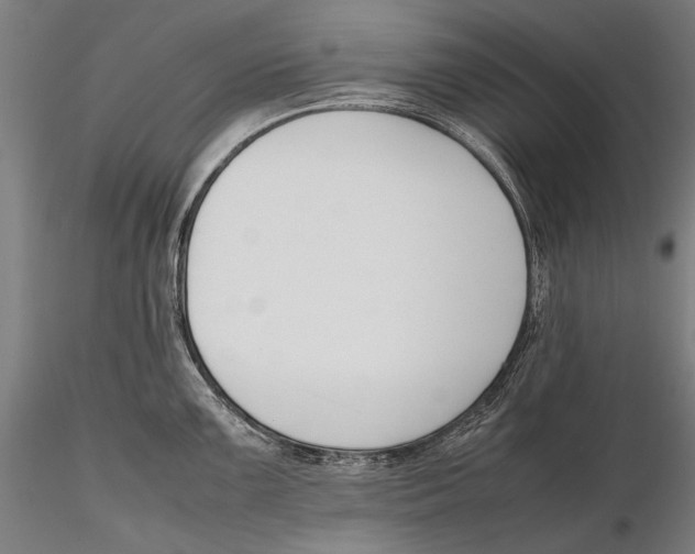 X0000115721099200912031545