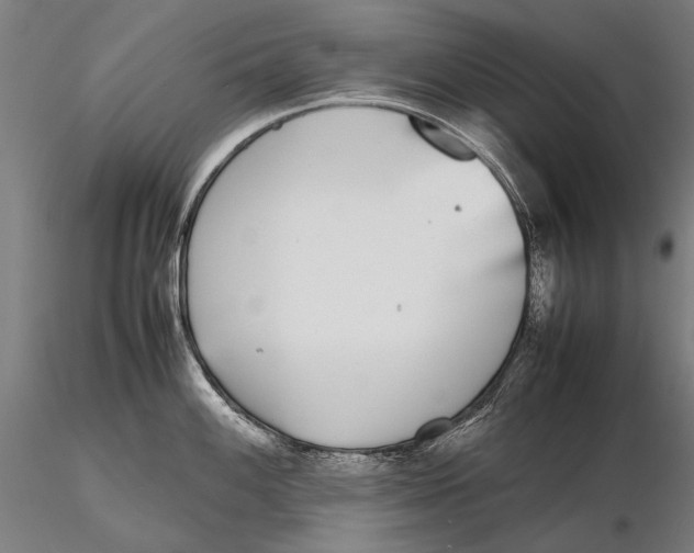 X0000115721100200912031545