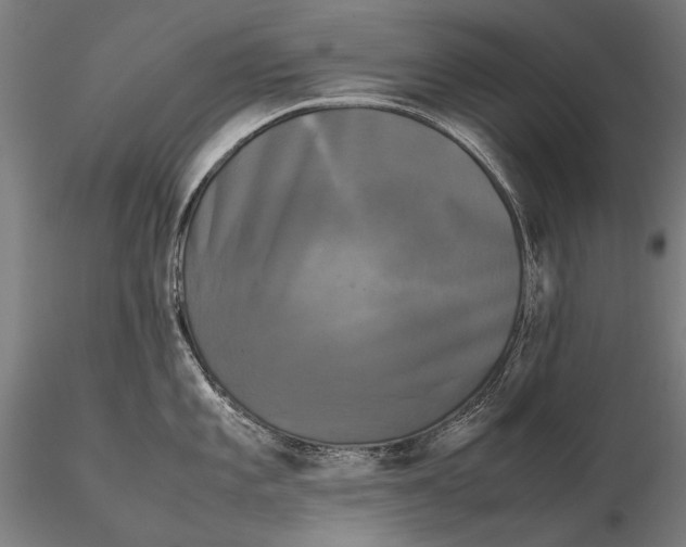 X0000115721101200912031545