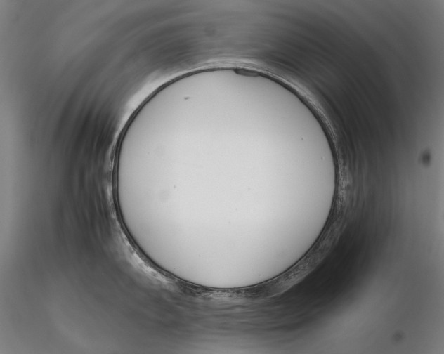 X0000115721102200912031545