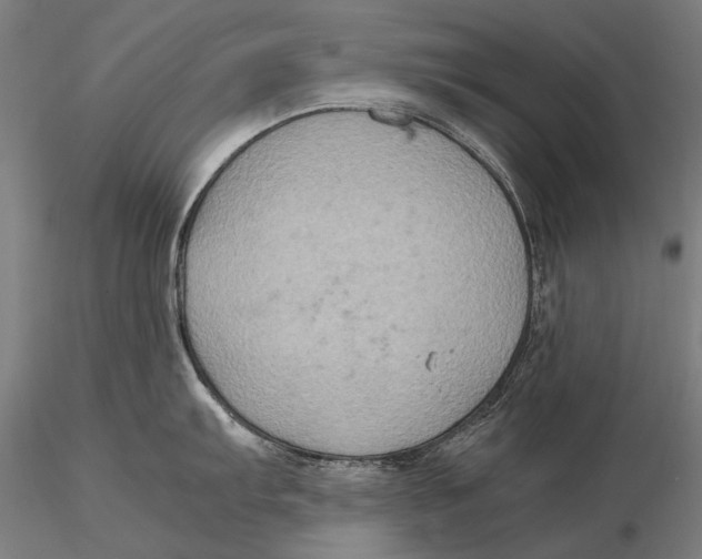 X0000115721103200912031545