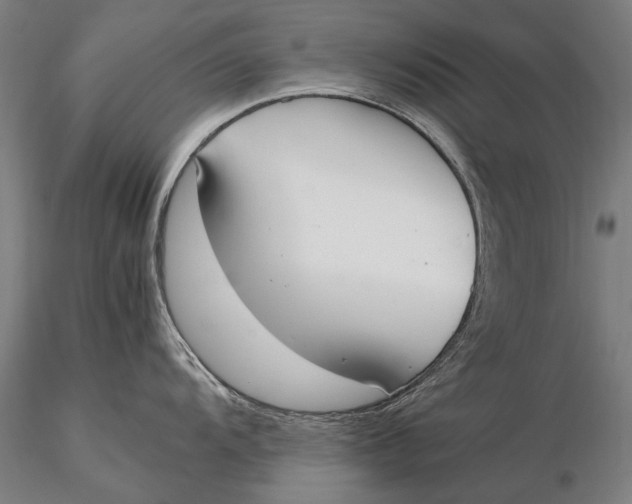 X0000115721104200912031545