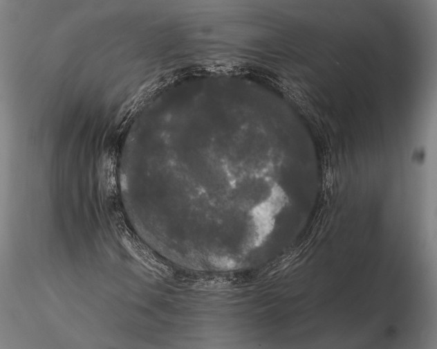 X0000115721106200912031544