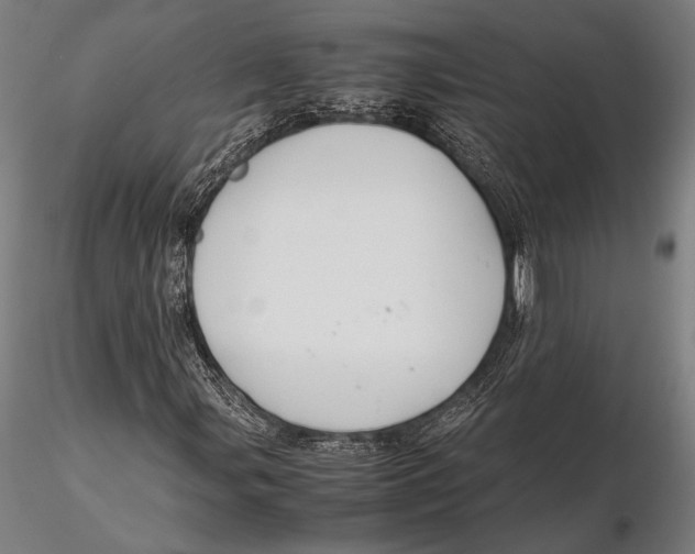 X0000115721107200912031544