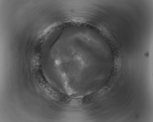 X0000115721110200912031544