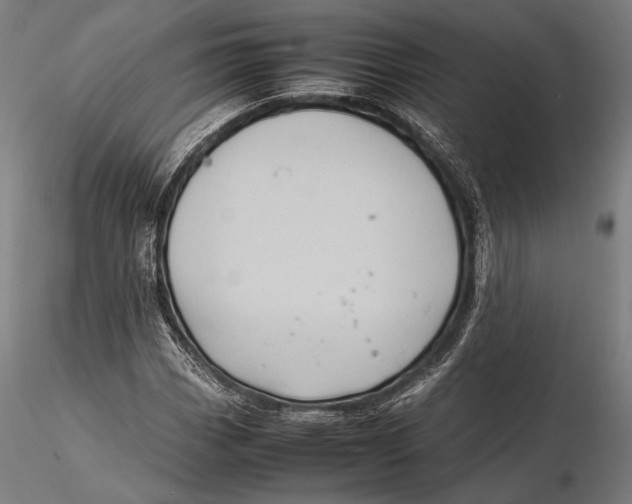 X0000115721113200912031544