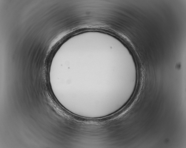 X0000115721114200912031544