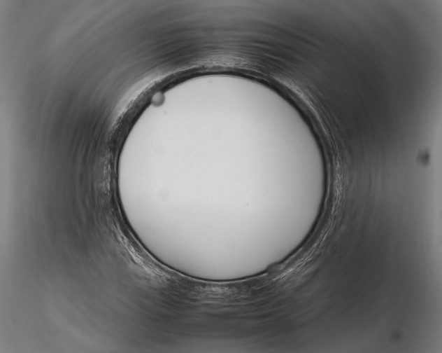 X0000115721115200912031544