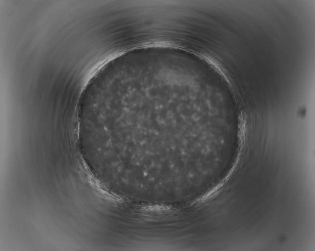 X0000115721117200912031544