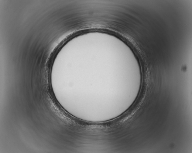 X0000115721118200912031544