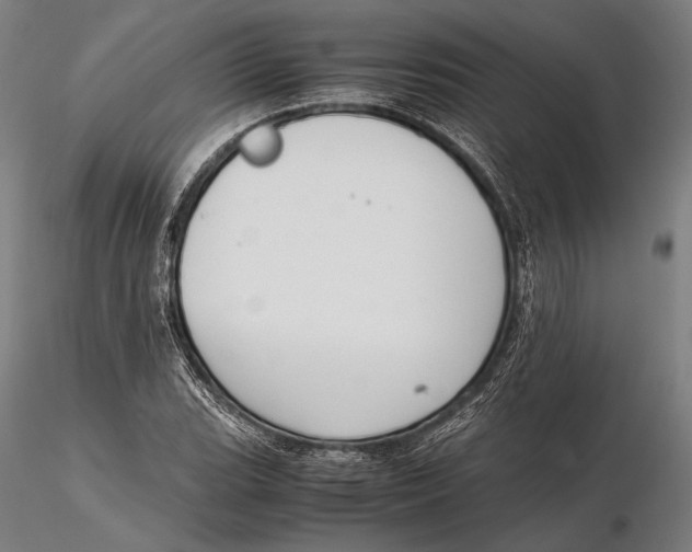 X0000115721119200912031544