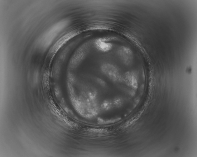X0000115721121200912031544