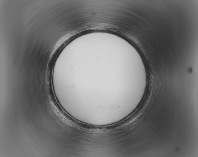 X0000115721122200912031544