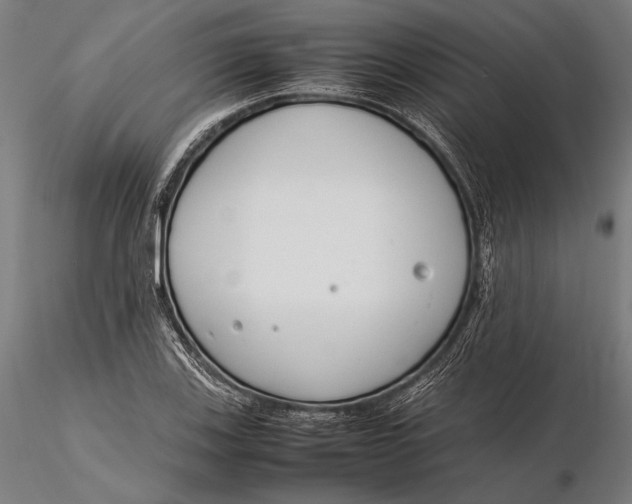 X0000115721123200912031544