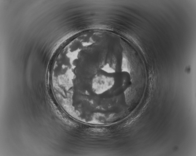 X0000115721125200912031544