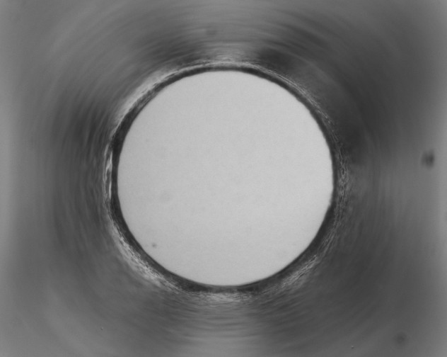 X0000115721126200912031544