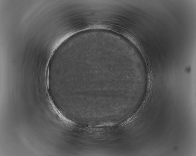 X0000115721127200912031544