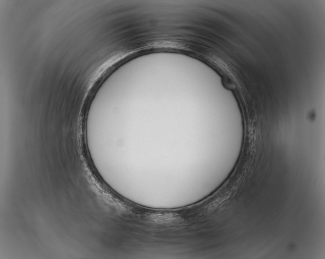 X0000115721133200912031545