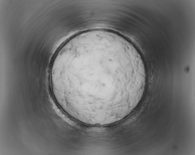 X0000115721134200912031545