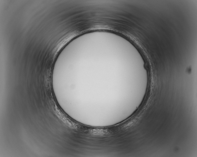 X0000115721137200912031545