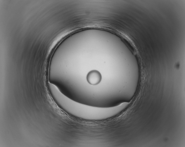 X0000115721138200912031545