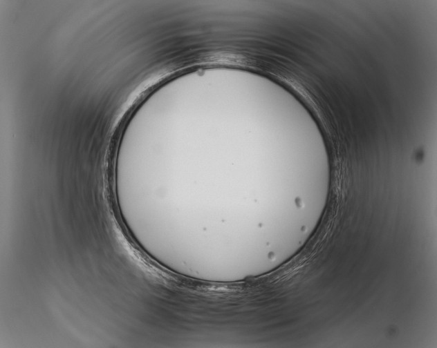 X0000115721139200912031545